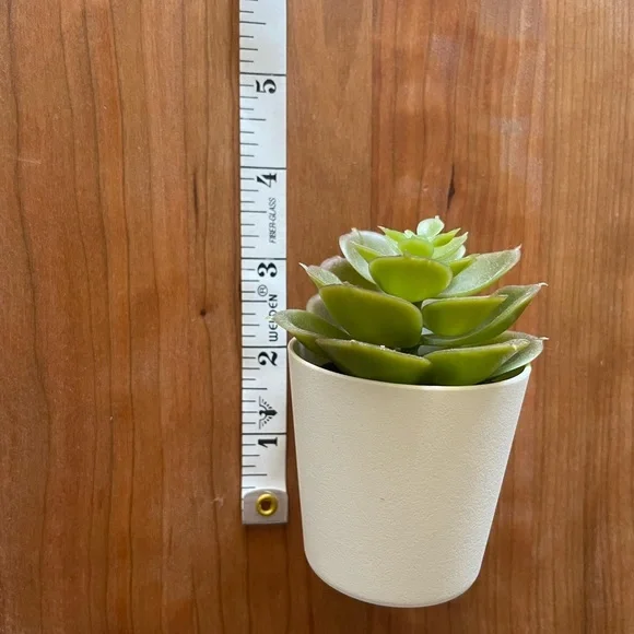 Set of 3 mini artificial succulents in white pots - Picture 4 of 4